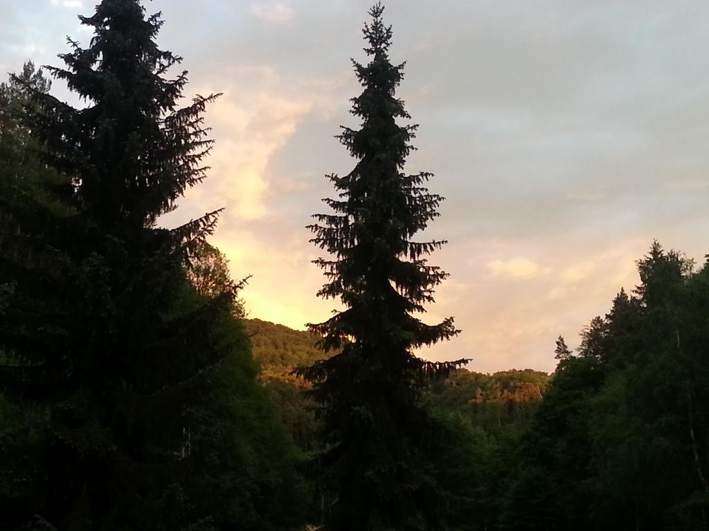Penzion Pod Houskou Blatce Экстерьер фото